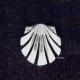 Pin plata