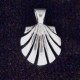 Concha plata  