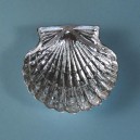Concha de plata