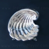 Silver shell
