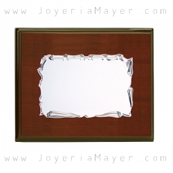 Placa homenaje de plata