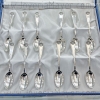 Silver spoon set