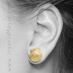 Compostela shell gold earrings