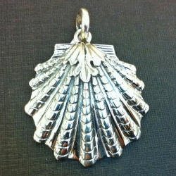 Compostela shell sterling silver