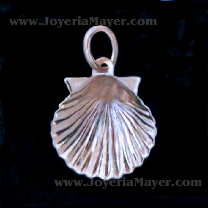 Silver Shell 