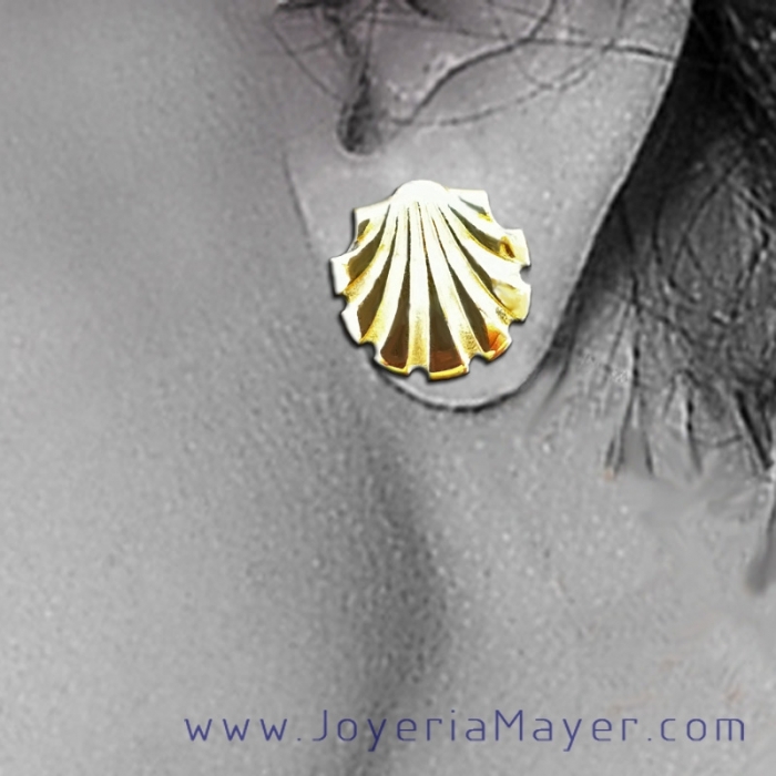 Pendientes azabache y plata