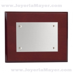 Placa homenaje de plata